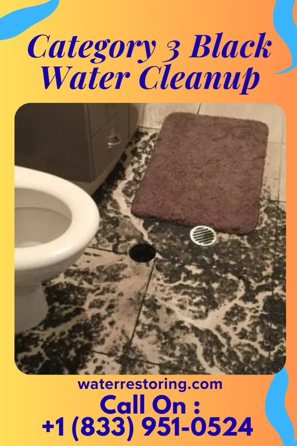 Category 3 Black Water Cleanup in Navarro, TX