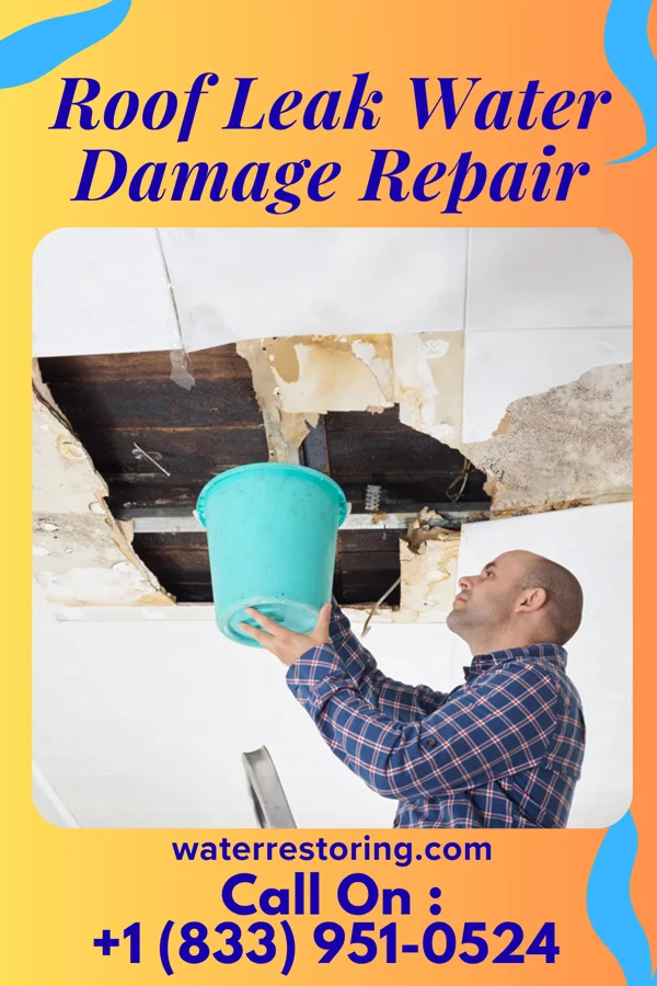 Roof Leak Water Damage Repair in Navarro, TX